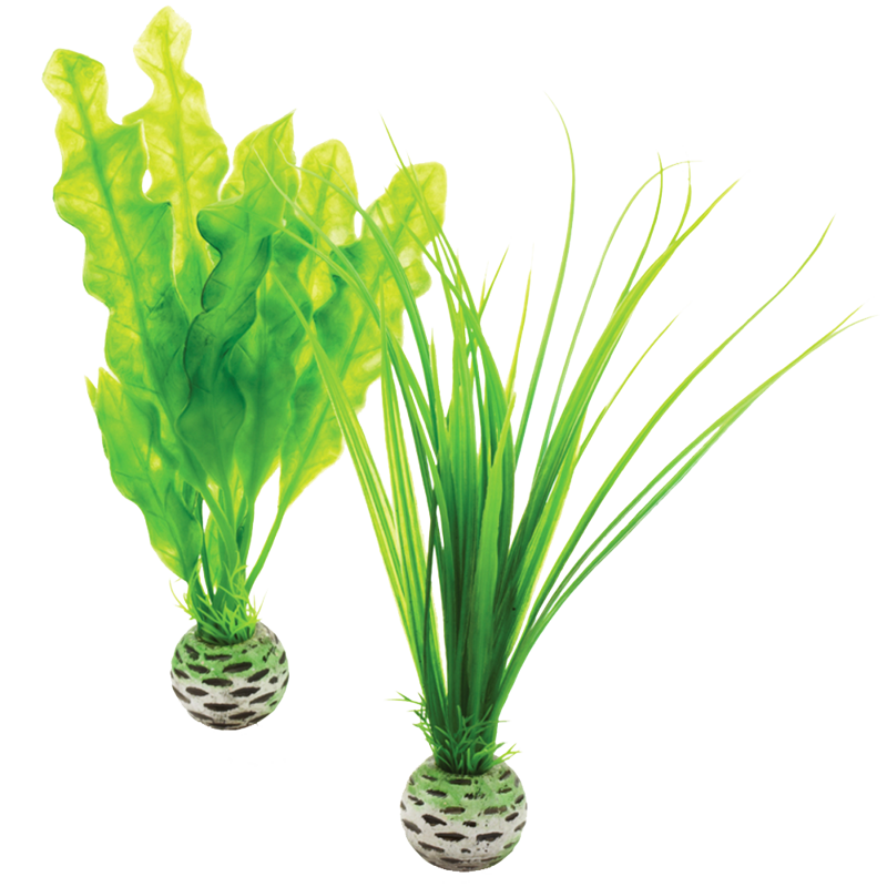 biOrb Plant Pack Set zelená 20 cm